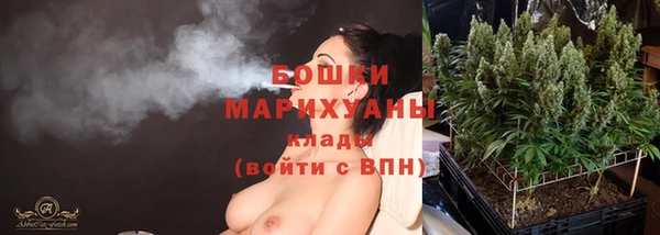 эйфоретик Белокуриха