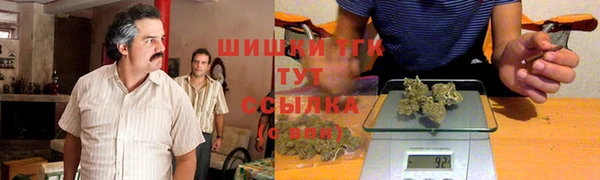 эйфоретик Белокуриха