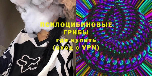 эйфоретик Белокуриха