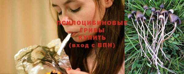эйфоретик Белокуриха