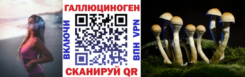 Псилоцибиновые грибы GOLDEN TEACHER  сколько стоит  Нижняя Тура 